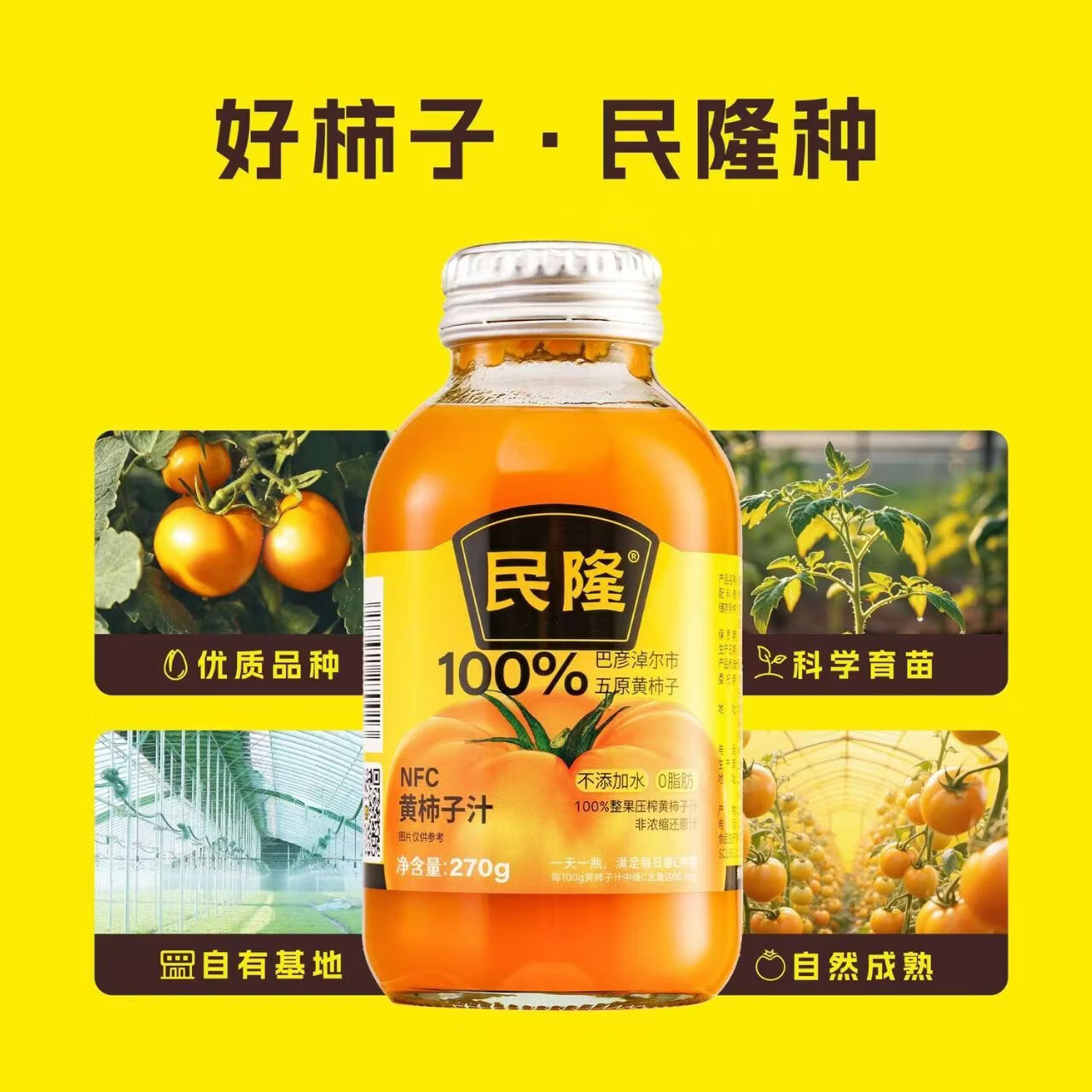 民隆100%黄西红柿果蔬汁营养NFC270g瓶装内蒙古五原黄柿子健康饮品 270g黄柿子*6瓶