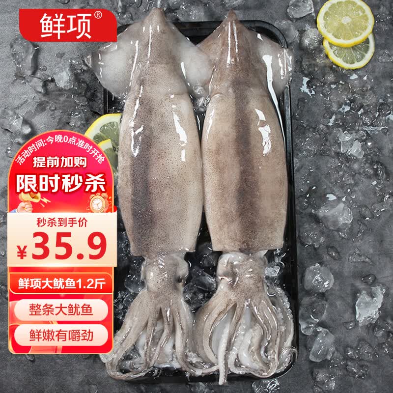 鲜项鲜冻大鱿鱼2-4条净重1.2斤 铁板鱿鱼火锅烧烤食材 海鲜生鲜送礼