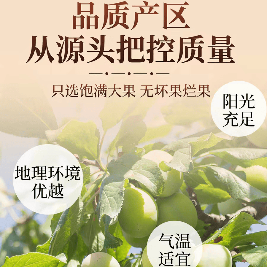 同仁堂(TRT)无糖药用乌梅干酸无糖无添加泡水梅汤泡水正品健康酸味青梅非烟熏 250g*4罐