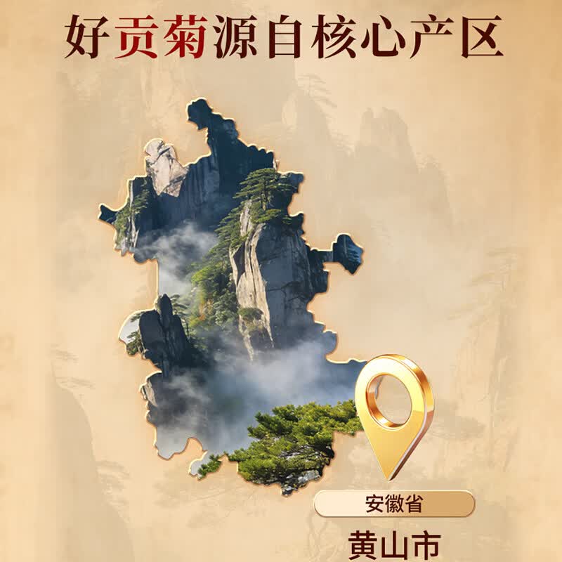 同仁堂（TRT）品牌北京同仁堂菊花(贡菊)30g菊花茶菊花蕾可搭枸杞金银花决明子用于风热感冒咽喉肿痛中药饮片 一瓶装
