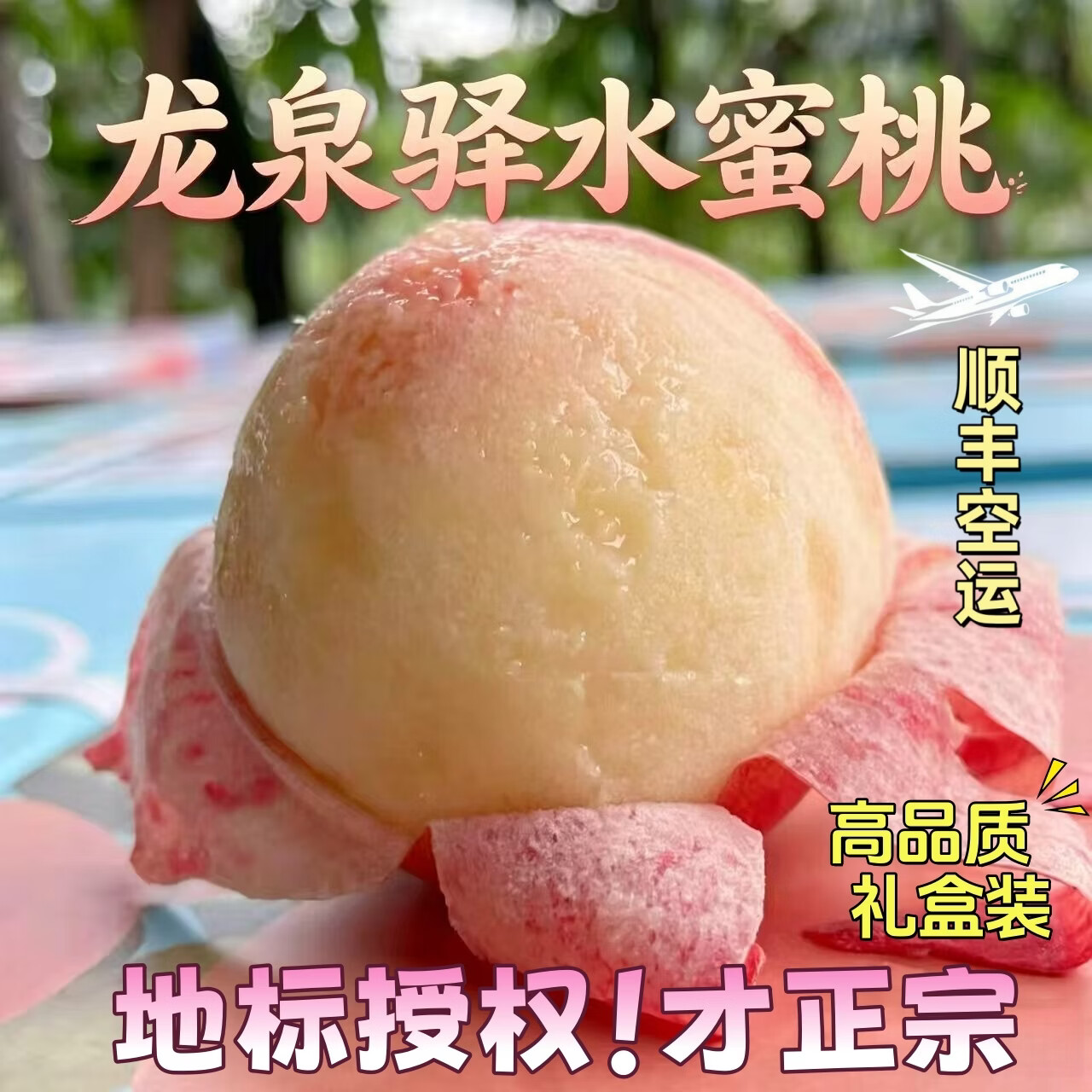 盘信人正宗四川龙泉驿水蜜桃次日达新鲜应季孕妇水果端午礼盒装桃子整箱 5斤 果园现摘 顺丰空运 10-12枚特大果【单果200g以上】高端礼盒装