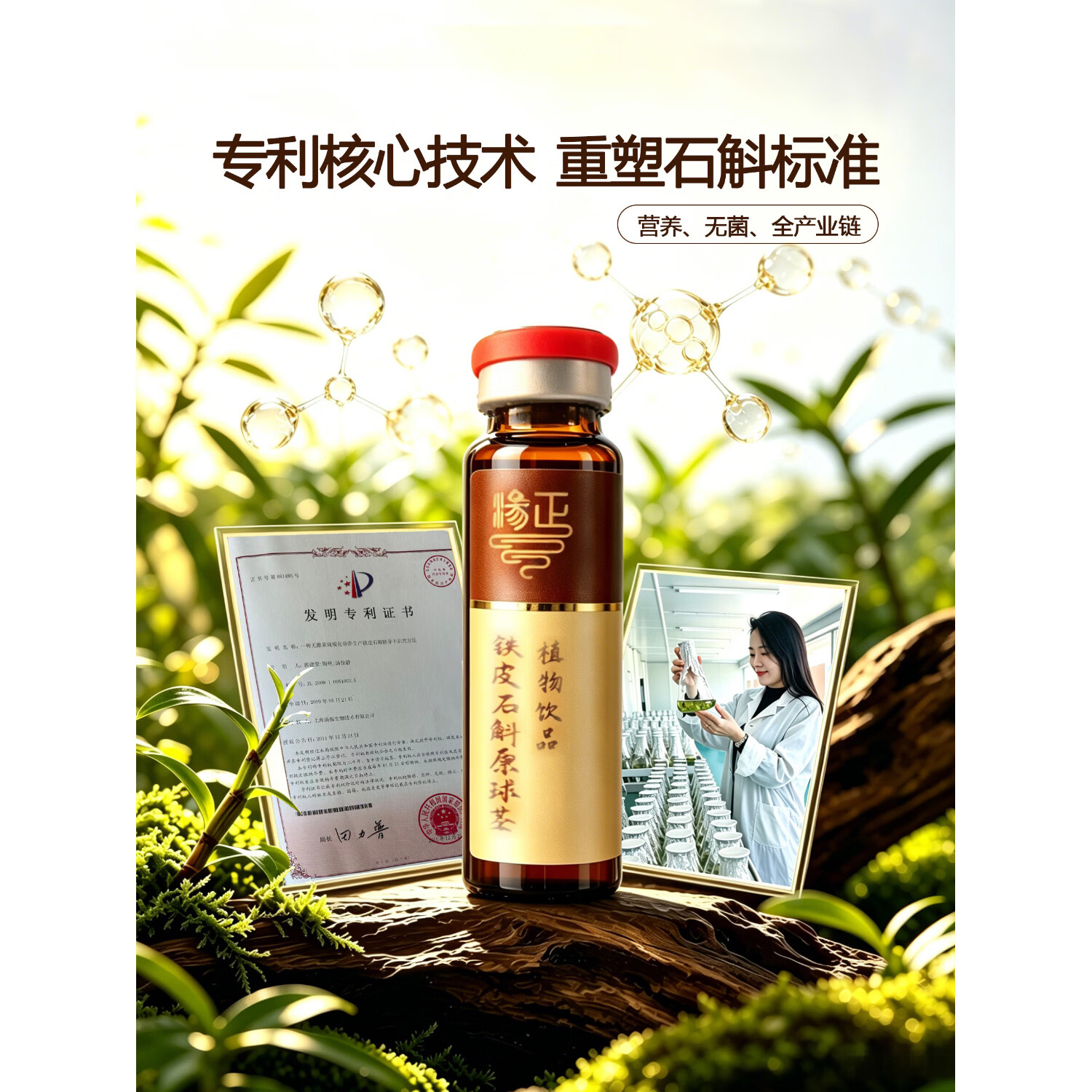 汤正铁皮石斛原球茎植物饮品