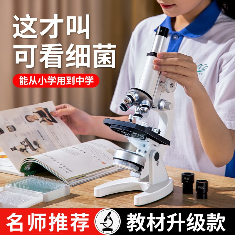 怎么看早教启智历史价格|早教启智价格走势图