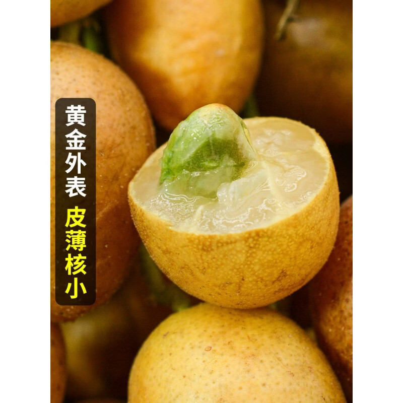 灵猫先生京东顺丰广西鸡心黄皮果新鲜5斤冰糖当季现摘酸甜黄弹子水果包邮 2500g 老树大果礼盒装