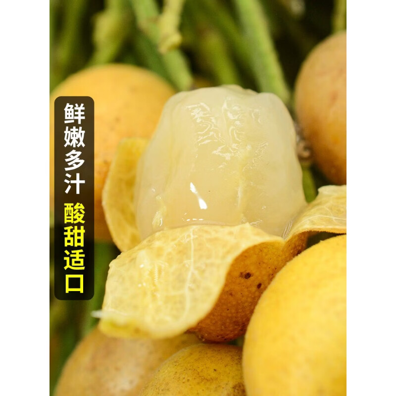 灵猫先生京东顺丰广西鸡心黄皮果新鲜5斤冰糖当季现摘酸甜黄弹子水果包邮 2500g 老树大果礼盒装