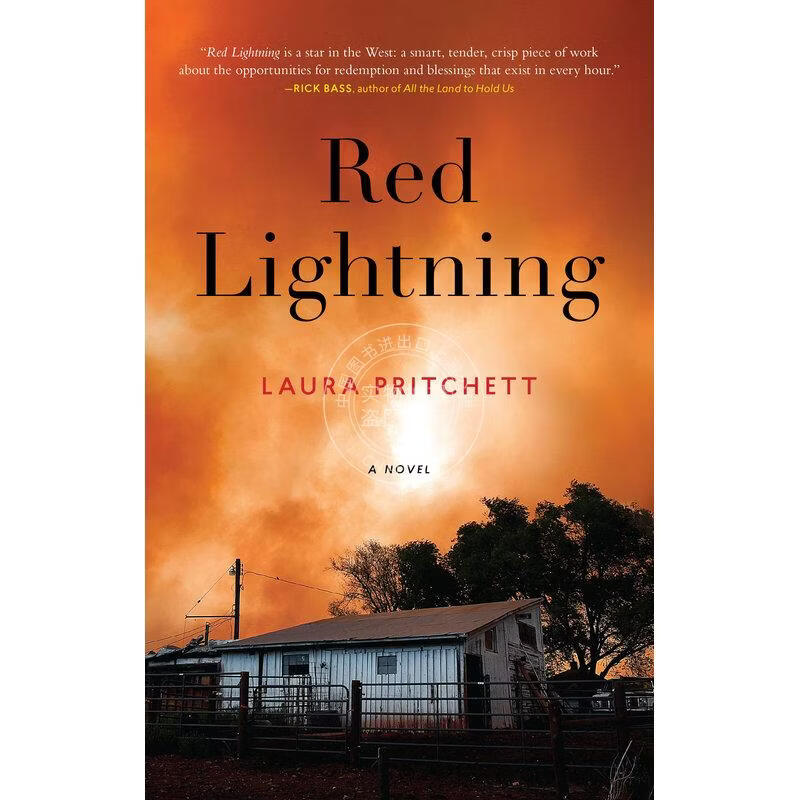 预售 Red Lightning 企鹅兰登
