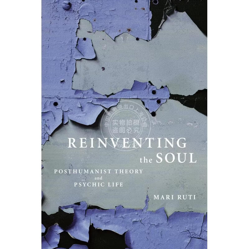 预售 Reinventing the Soul 企鹅兰登