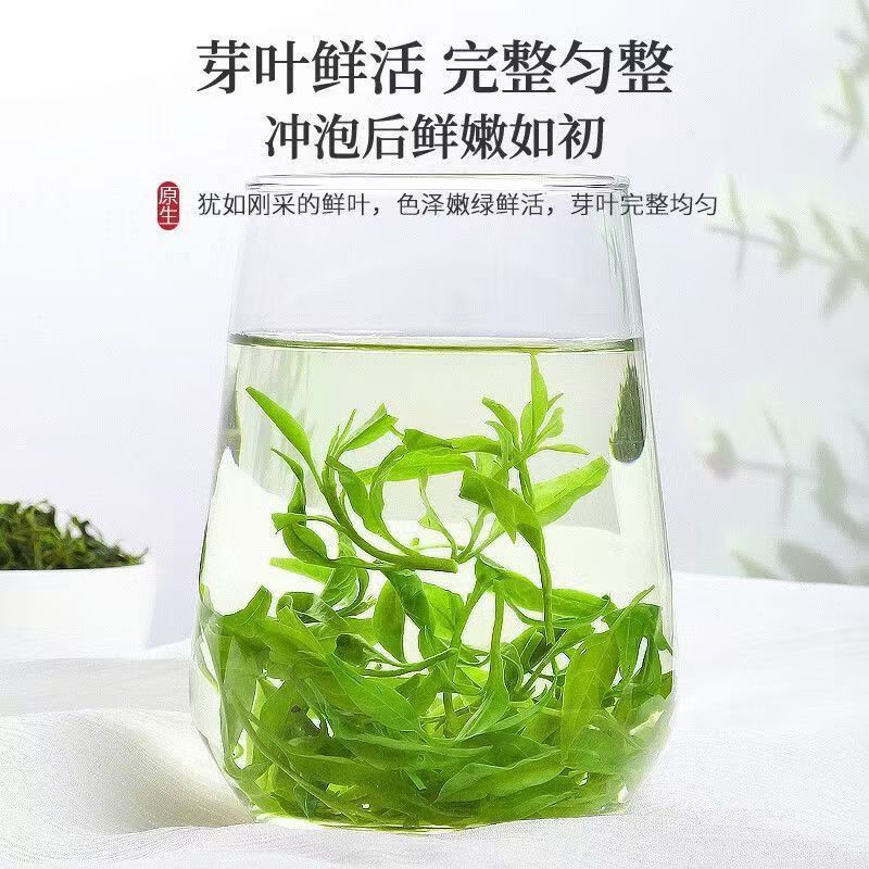 同仁堂(TRT)贵州小叶苦丁茶野生特级养2026嫩芽中老年人控血糖血脂血压清肝 头采小叶苦丁茶 200g*4罐 四罐超值装