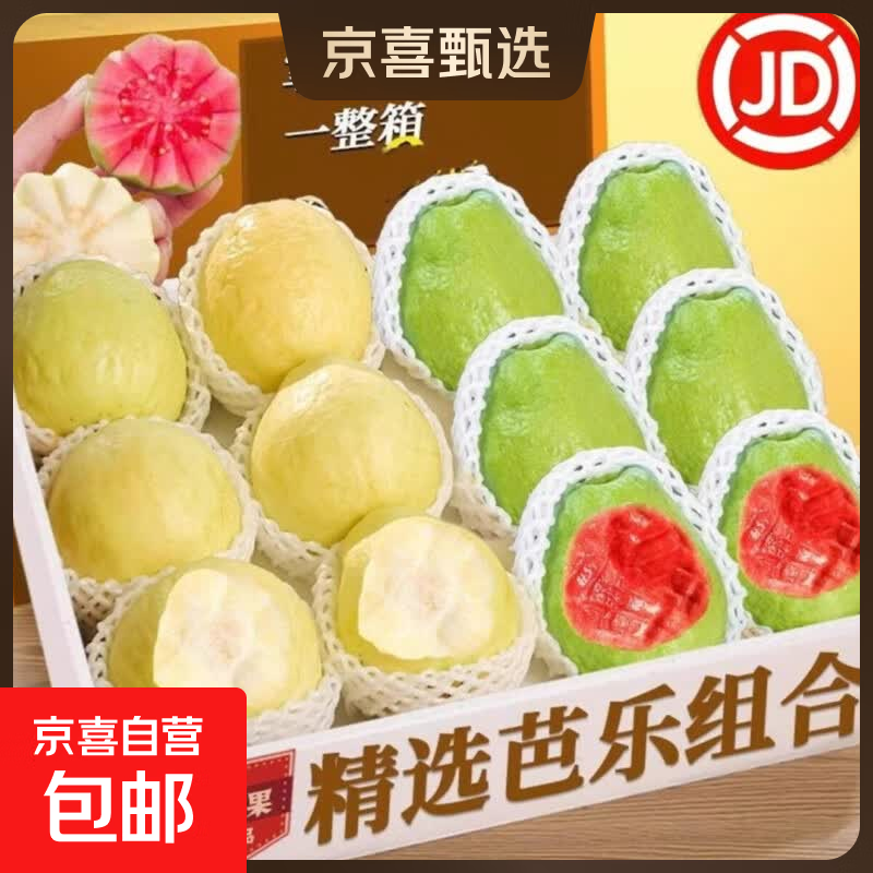 新鲜正宗广东产地直采红心白心芭乐双拼软糯香甜水果单果100g+ 3斤双拼净重2.7斤（红心2粒+）