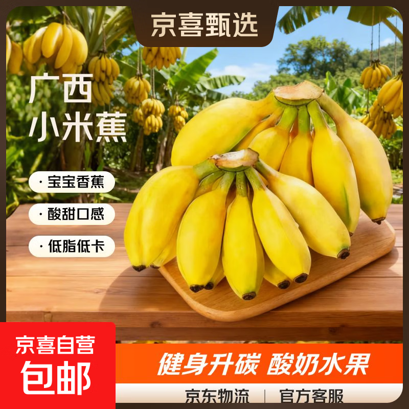 广西小米蕉当季新鲜应季水果日日鲜香甜小香蕉芭蕉孕妇水果整箱 净重5斤 酸甜口的小香蕉