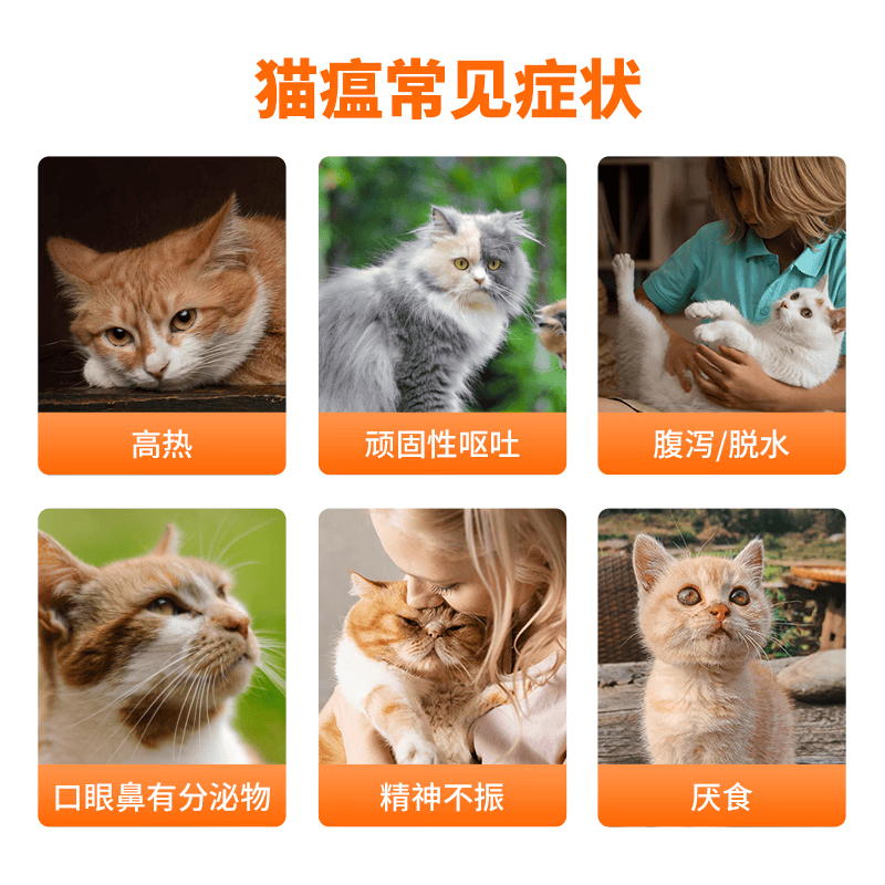 猫瘟热抑制蛋白冻干型单克隆抗体紧急预防猫细小病毒治疗套餐 猫瘟抑制蛋白10瓶整盒