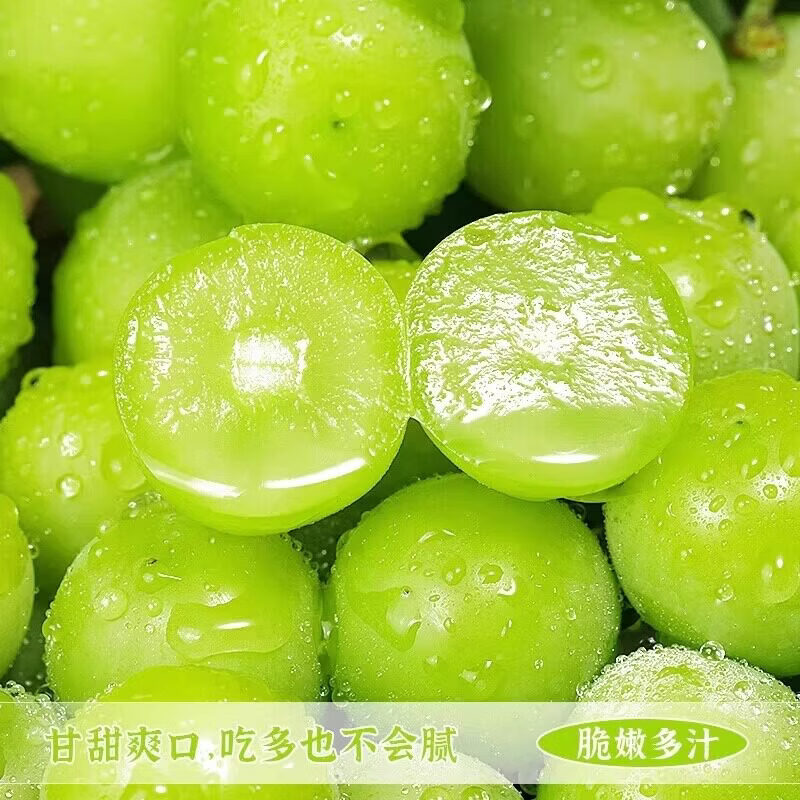 佳果家美阳光玫瑰葡萄新鲜整箱生鲜水果礼盒孕妇应季水果【京东快递】 特级果净重4斤【单果8-13g】