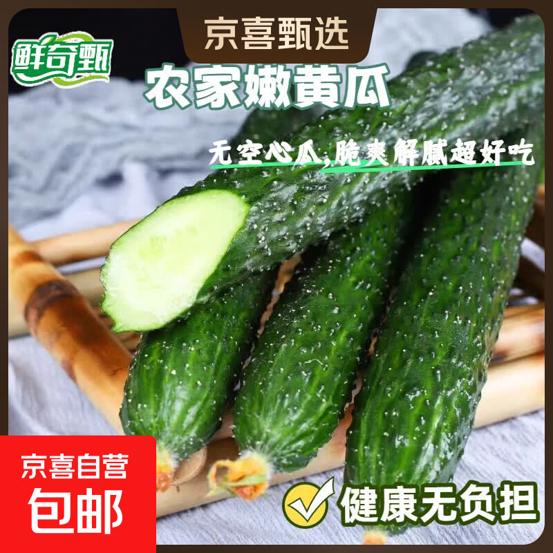 新鲜小黄瓜现摘可生吃超市直播间生鲜京东快递火锅食材真便宜 刺黄瓜【带箱】 5斤