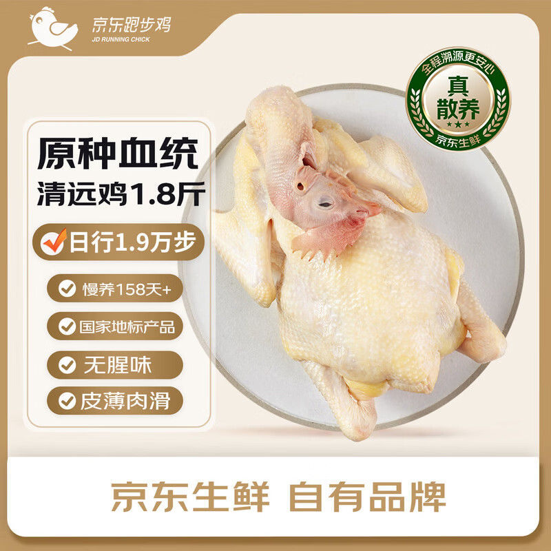 京东跑步鸡原种无抗清远鸡 净重1.8斤 冷冻 158天散养走地鸡煲汤食材