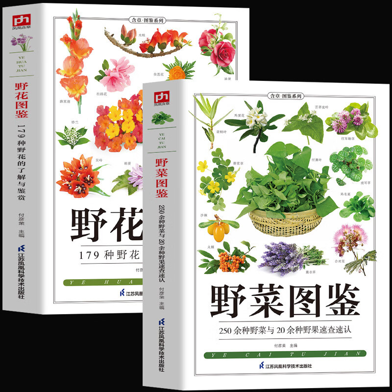 正版 矿物与岩石图鉴 231种矿物与65种岩石鉴别指南 矿石风貌形成自然成因结构特征知识大百科 矿石收藏爱好者矿石鉴别指南自然科学读物 2册 野菜+野花图鉴