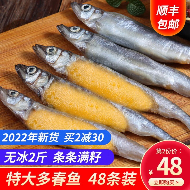 尚致 加拿大满籽多春鱼 生鲜鱼类1000g48条袋装海鲜水产烧烤食材满籽海鱼