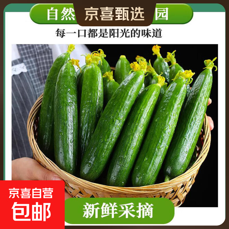 【东东买菜】山东水果黄瓜生吃荷兰无刺现摘脆嫩小青瓜当季蔬菜 带箱2斤 1.92斤