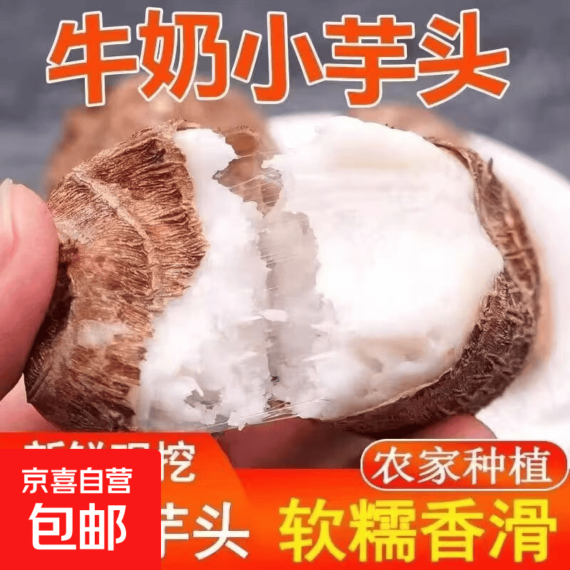 山东牛奶芋头绵密软糯香甜厨房必备新鲜毛芋头农家自种天然无添加 山东牛奶小芋头带箱2斤