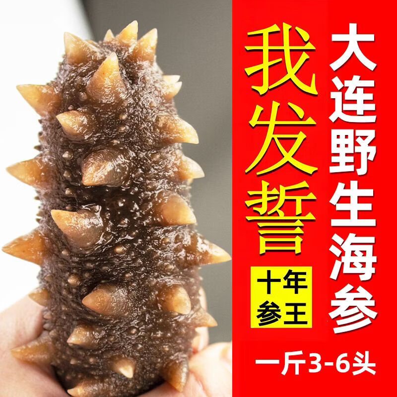奉仙宝大连海参即食鲜食刺参辽参开袋即食海参新鲜水产 【一斤】 4-6头/斤个大肉厚