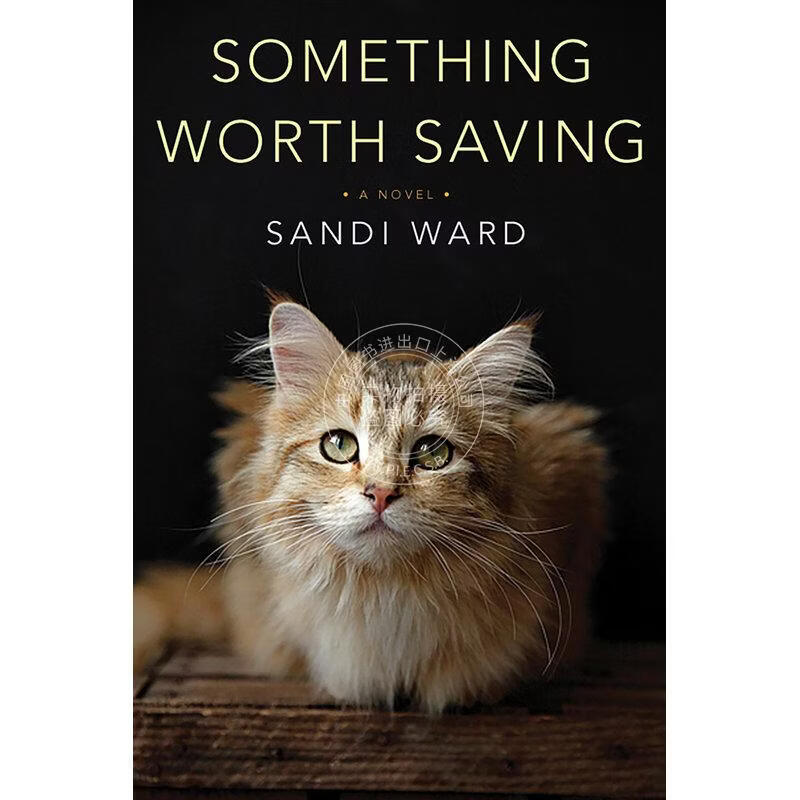 预售 Something Worth Saving 企鹅兰登