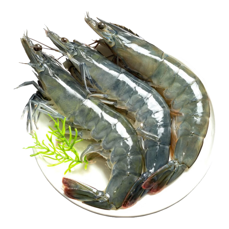 白虾基围虾鲜活青虾海虾对虾冰虾冻虾生鲜虾类 40/50规格 3斤装 4050盐冻大虾 3斤(净重)