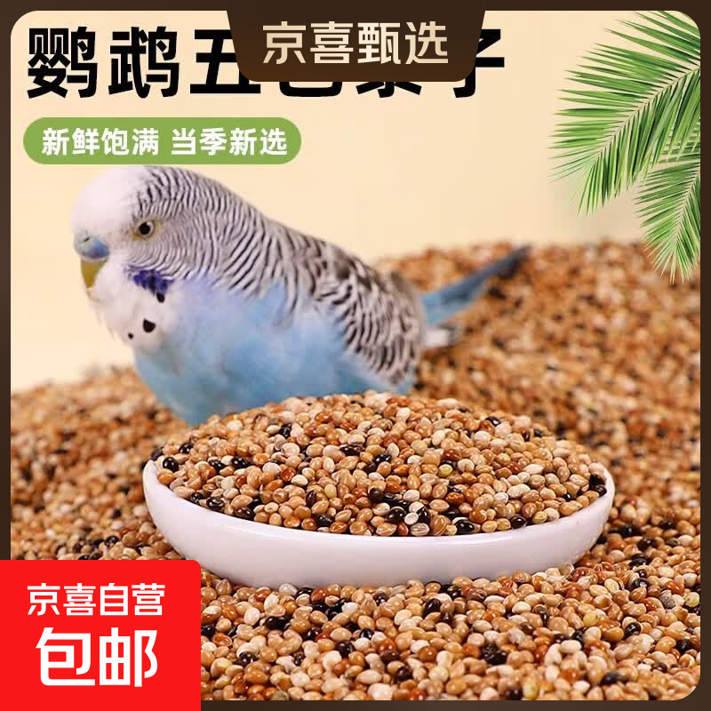 鹦鹉鸟粮饲料鸟食五色黍子带壳小米黄谷子玄凤虎皮牡丹珍珠鸟粮食 五色黍子【500g】