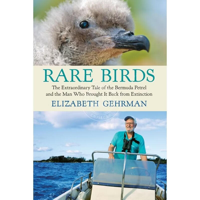 预售 Rare Birds 企鹅兰登
