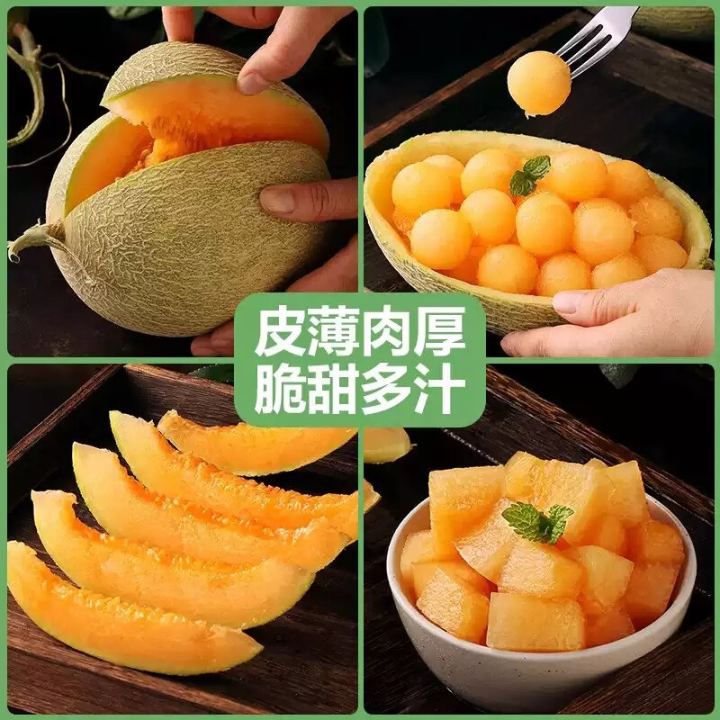 正宗新疆哈密瓜整箱吐鲁番西州蜜25号网纹瓜甜瓜生鲜哈密瓜水果 净重8-9斤【精选2个瓜】香甜多汁