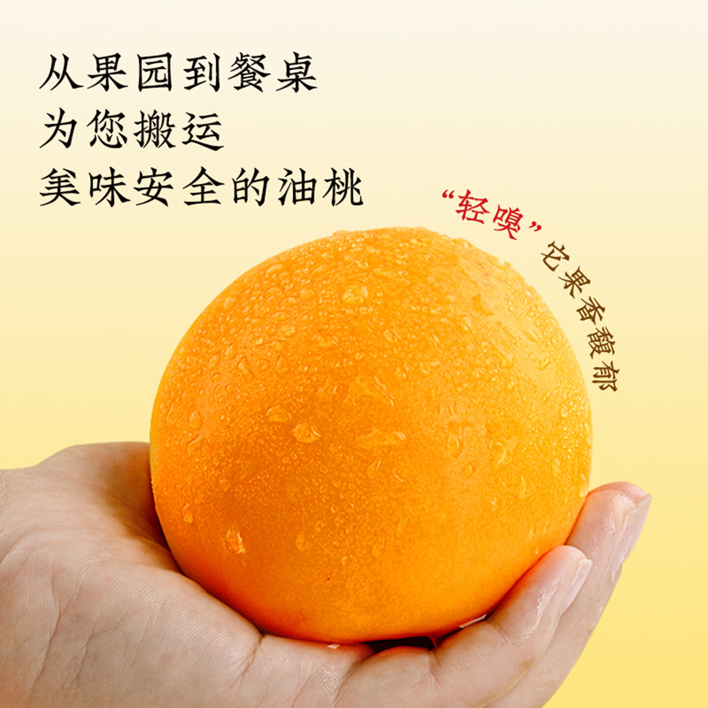 仙果春天大连正宗黄油桃现摘现发脆甜多汁当季时令水果黄金蜜黄桃 大连黄油桃3斤【带箱】