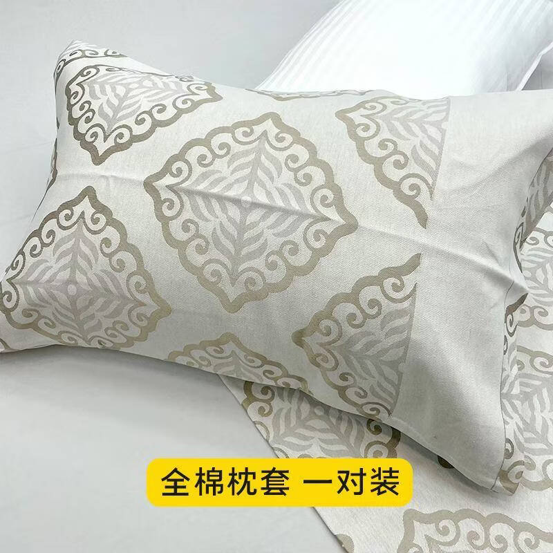 VTX全棉枕套 学生枕套单人宿舍枕巾枕套一对装吸汗全棉枕套48cm*74cm 40支 VSFR-ZT079 48cm*74cm