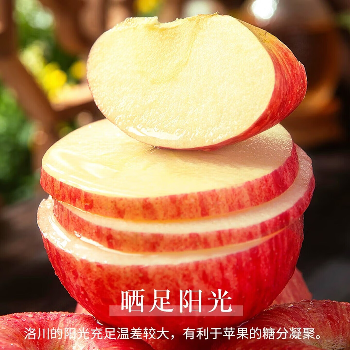 正鲜季(ZHENGXIANJI)洛川苹果陕西延安洛川红富士苹果新果时令苹果水果礼盒产地直采 【中果】70mm-75mm 【尝鲜装】净重3斤