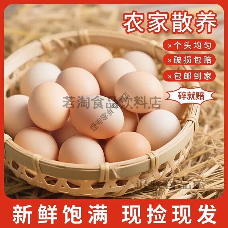 农家散养新鲜土鸡蛋农家虫草蛋粉壳笨鸡蛋整箱批发 整箱单枚 10枚农家鲜鸡蛋约405g