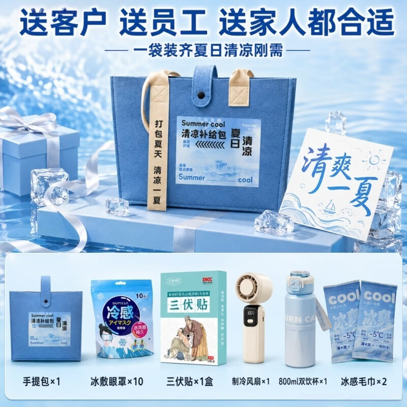 赟娅实用夏日清凉大礼包防暑降温套装端午节礼物送同事员工伴手礼袋 清凉一夏礼包【款式3】