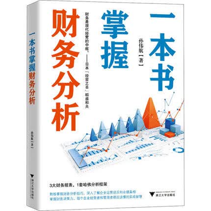一本书掌握财务分析