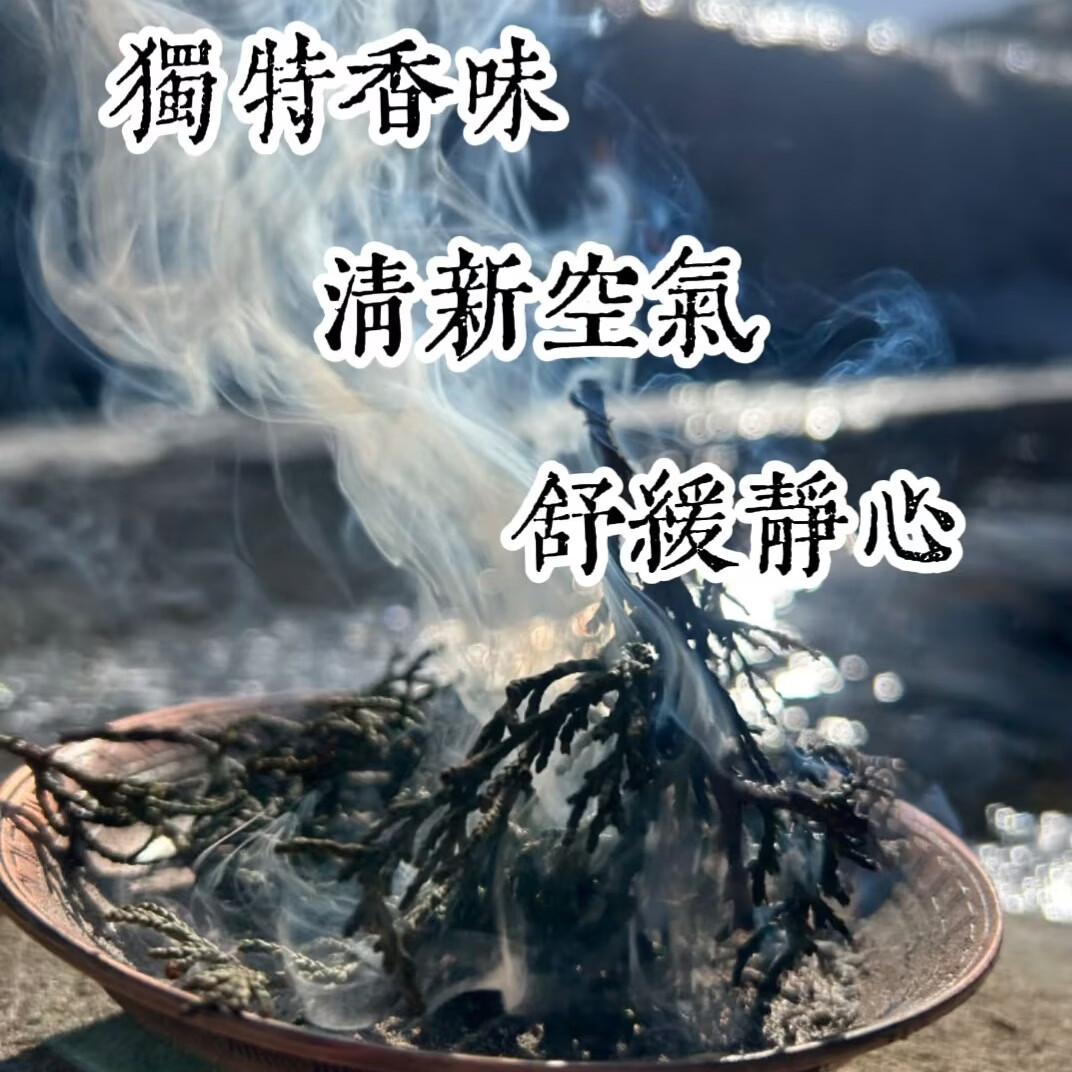 藏地新鲜野生藏香柏枝叶供养水晶房屋净宅除污秽气净化空气自然香 300克