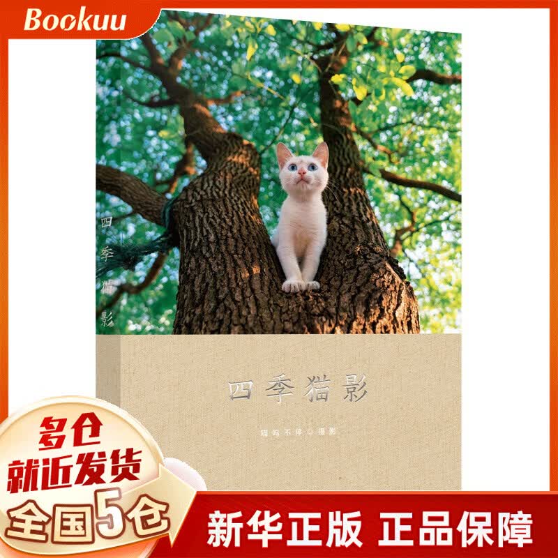 四季猫影