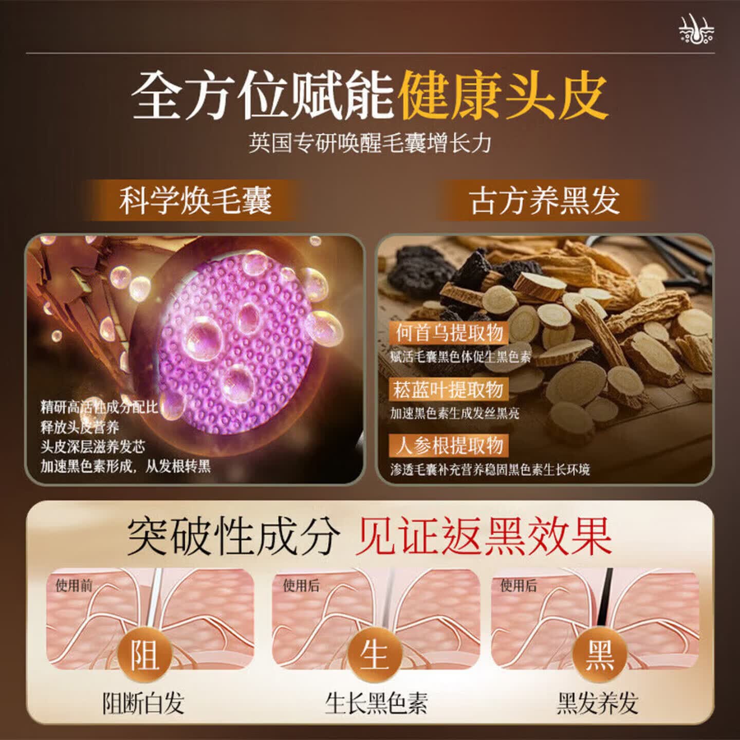 海文赫黑金罐洗发膏水自然黑乌发固色草本养护蓬松柔顺黑白发控油 五瓶【巩固装】根源养黑不反白 【正品直售 京质保障】