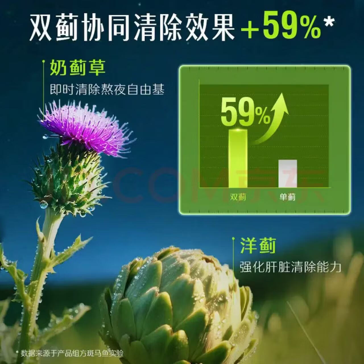 Swisse斯维诗高浓度护肝片 蓟草提取物 加班熬夜烟酒常备200粒/瓶 澳洲 200粒/瓶