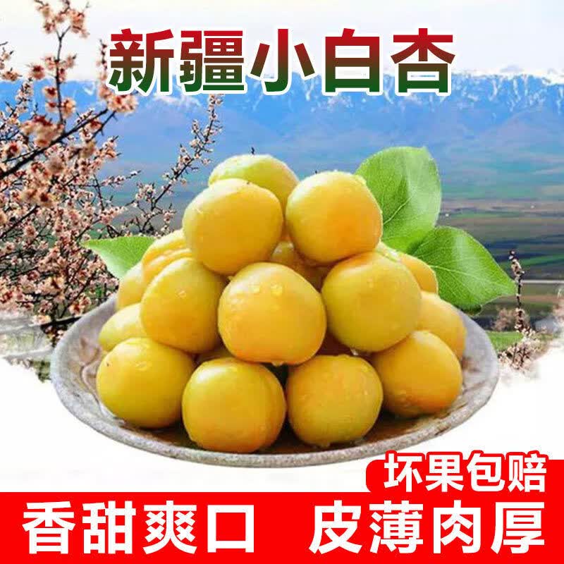 旭诺【新疆空运直发】新疆小白杏当季新鲜水果新疆吐鲁番杏子顺丰空运 新疆小白杏带箱4斤礼盒送礼专用