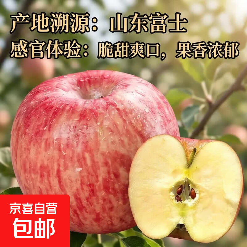 京喜加正宗山东红富士苹果脆甜可口好吃不贵整箱发货生鲜水果丑苹果超市 中果80mm+5斤【含箱】净重4.5斤 京东快递-更快更好