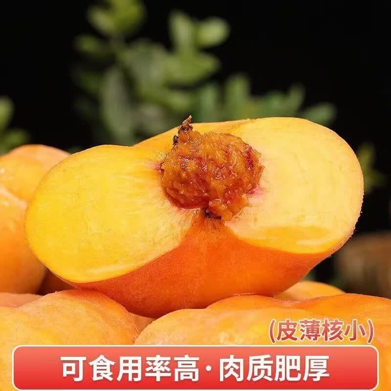 山东蒙阴黄金蟠桃【顺丰】黄毛蟠桃奶油蟠桃软甜新鲜水果孕妇 2斤 【顺丰快递】单果三两以上