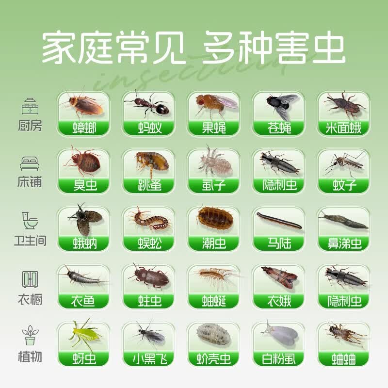 FIELL德国跳蚤药床上家用除灭跳蚤喷雾虱子专用杀虫剂室内大面积专杀神 5瓶装 【囤货装】床上大面积 人宠安心 【灭跳蚤】床上可喷 虫卵双杀 跳蚤克星