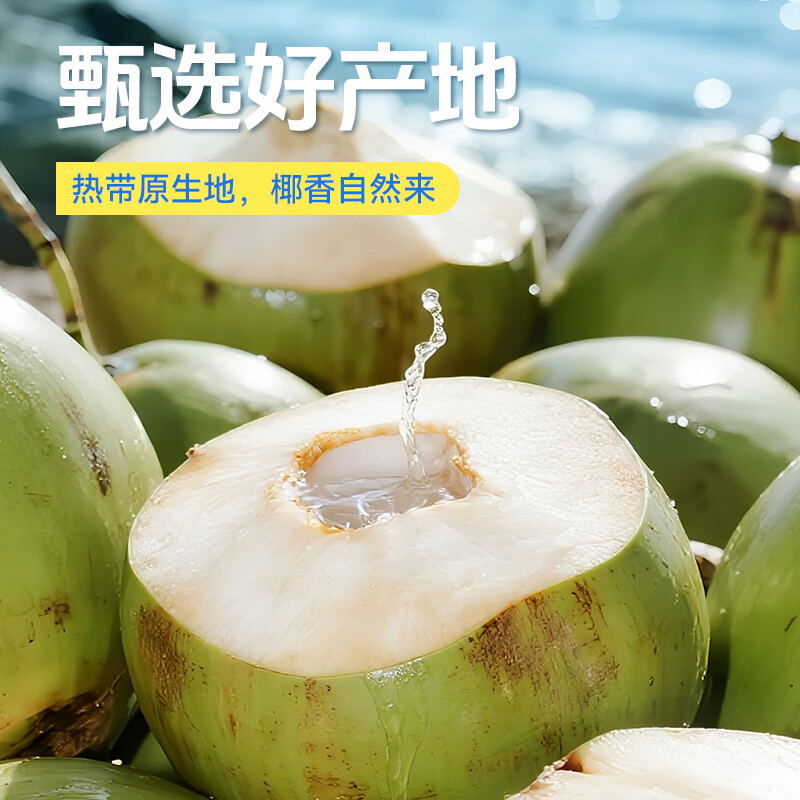 惠饮NFC100%椰子水孕妇可喝0添加蔗糖0脂肪含钾天然电解质水245ml果汁 245ml*10瓶