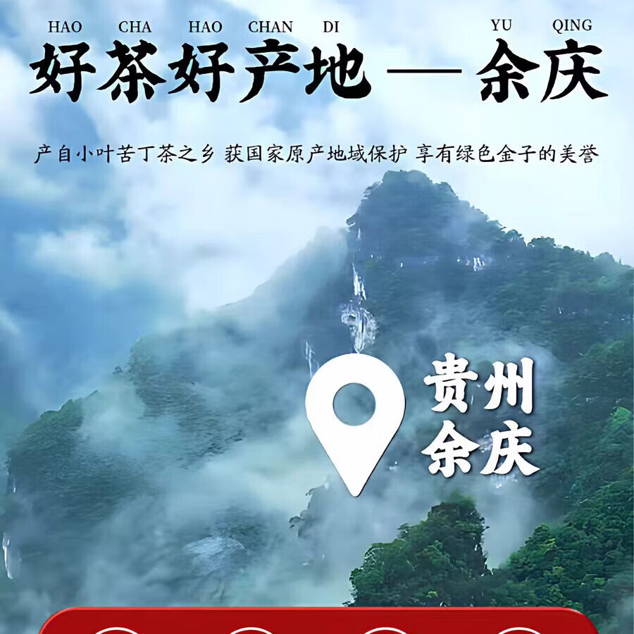 胖东来同款贵州余庆农家野生小叶苦丁茶特级嫩芽新茶正品中老年人花草茶 180g*8罐