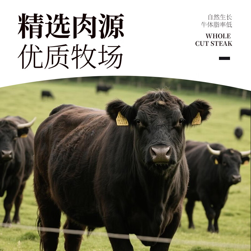 顶诺(DNUO)嫩滑小炒牛肉片8袋牛肉食材免洗免腌制火锅烧烤食材半成品批发 调理 450g 4袋