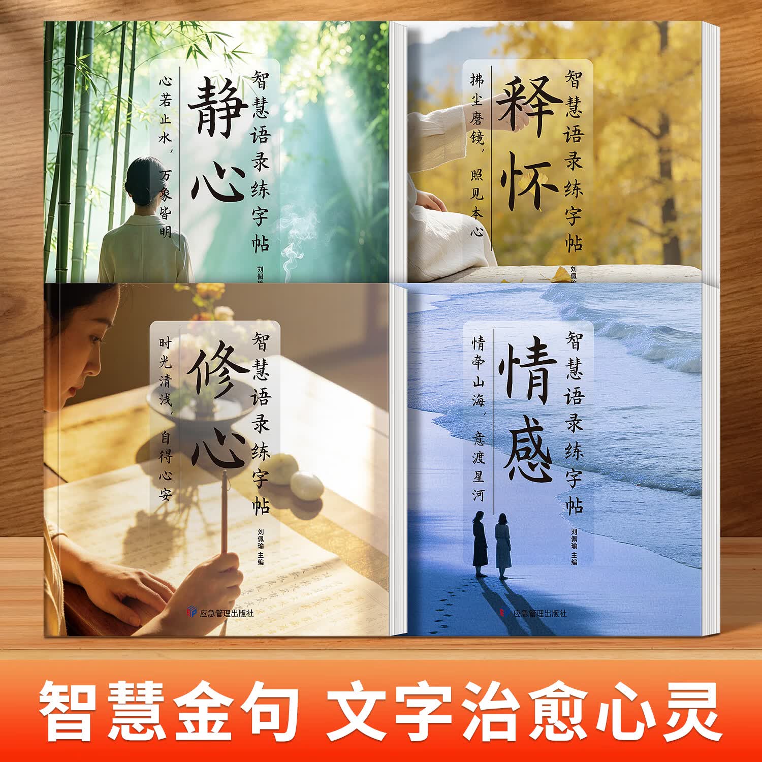 汉状元书院智慧语录字帖成人练字静心修心行楷手写体行书练字帖女生楷书专用钢笔字贴大学生硬笔书法练字本 【1本】情感/72页 无练字套装