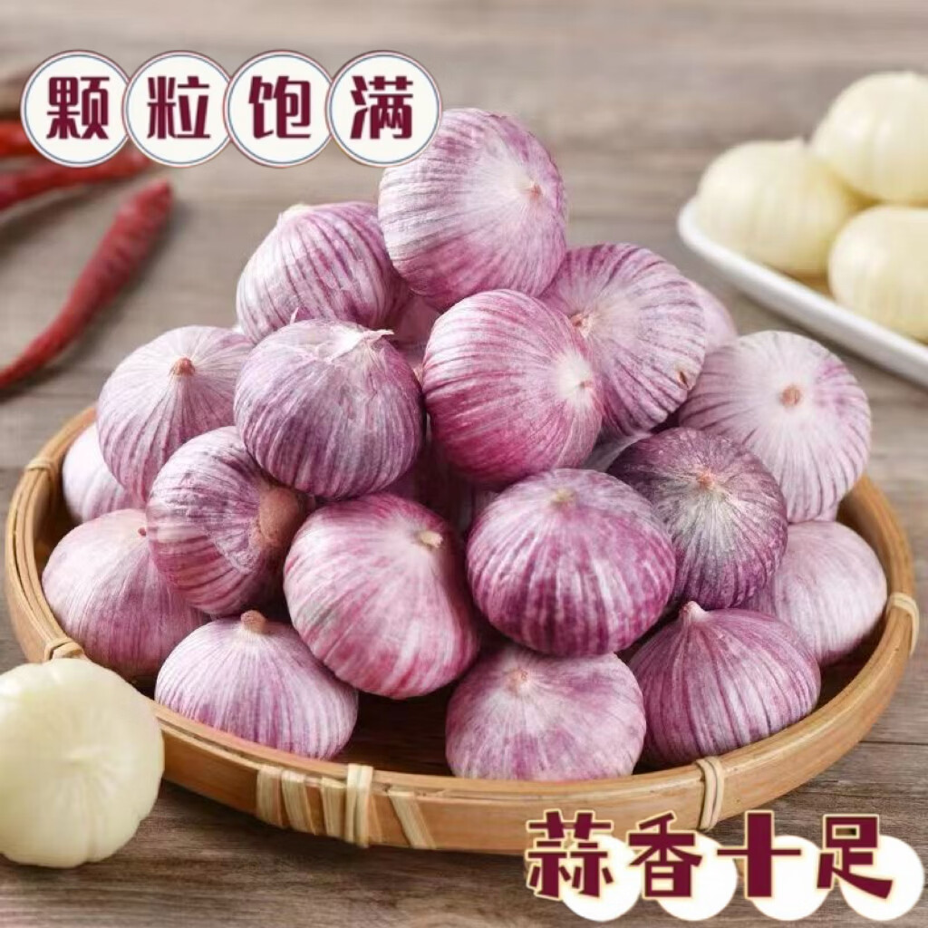 26年新鲜现挖紫皮独头蒜调料调味辛辣可口大蒜头源头直发带土发货 4.5斤【超值囤货】 大果3.0cm+[品质升级]
