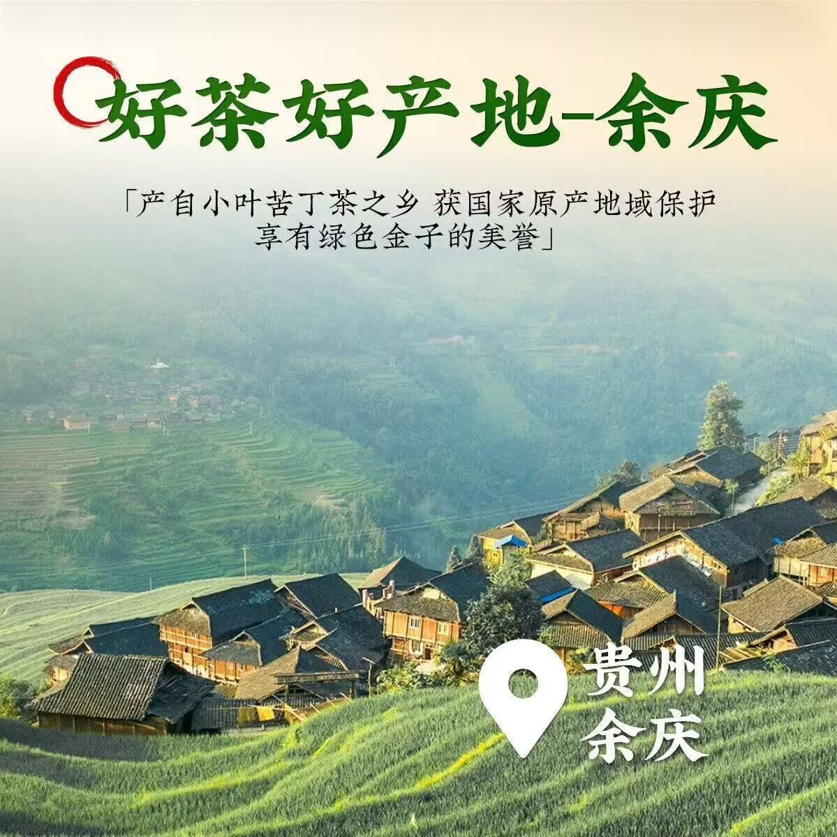 同仁堂(TRT)贵州小叶苦丁茶野生特级养2026嫩芽中老年人控血糖血脂血压清肝 头采小叶苦丁茶 200g*4罐 四罐超值装