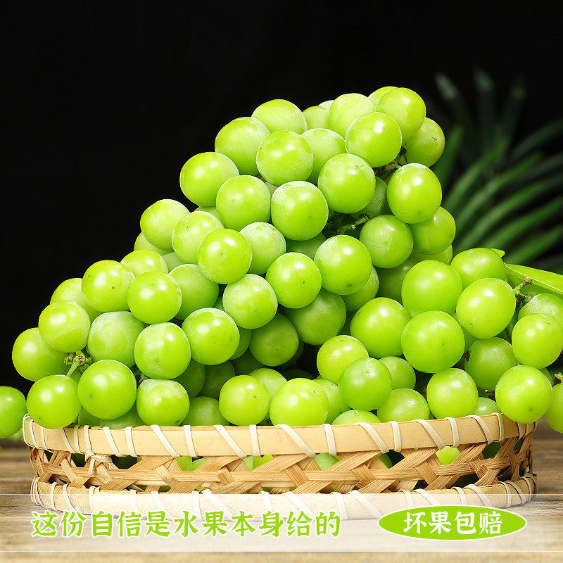 佳果家美阳光玫瑰葡萄新鲜整箱生鲜水果礼盒孕妇应季水果【京东快递】 特级果净重4斤【单果8-13g】