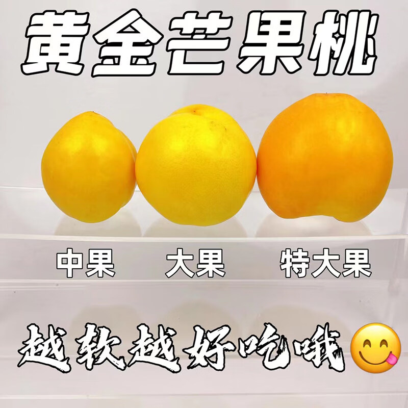 仙果春天大连正宗黄油桃现摘现发脆甜多汁当季时令水果黄金蜜黄桃 大连黄油桃3斤【带箱】